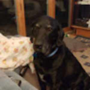 Meet your Posher, Brenda